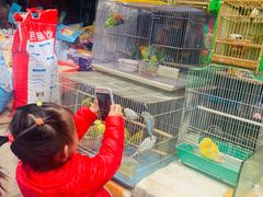 -清平路水族市场