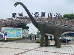 -紫颐香薰山谷景区