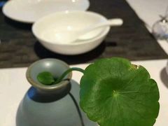 -若蘭慈·无国界素食料理(欢乐海岸店)