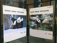 -西安电影制片厂