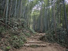 -莫干山风景区
