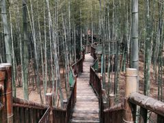 -陶祖圣境风景区