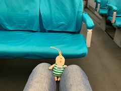 -龙阳路磁悬浮列车总站-停车场