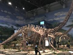 -自贡恐龙博物馆