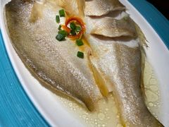 花雕醉黄鱼-寻宝记绍兴菜(鲁迅路店)