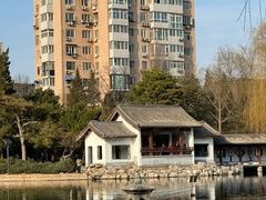 -团结湖公园