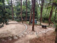 -铁山坪森林公园