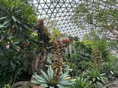 -上海辰山植物园