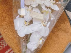 -知物癖(牛王庙店)