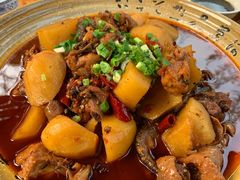 -青城甲(青城山店)