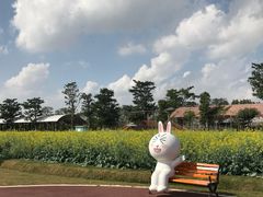 -迪茵湖田家舍生态农场
