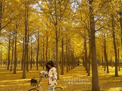 -田村(地铁站)