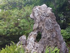 -广州兰圃