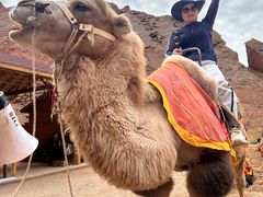 -天山神秘大峡谷