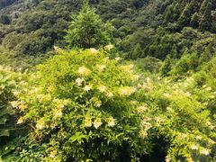 -南岳衡山风景名胜区-南岳大庙