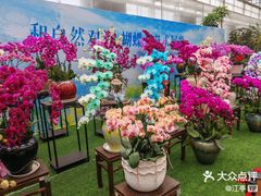 -北戴河集发农业梦想王国