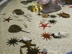 -福州罗源湾海洋世界旅游区