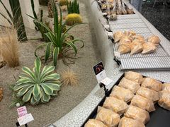 -OUR Bakery(SKP-S店)