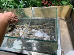 -欢乐牧场海鲜烤肉自助(牡丹园店)