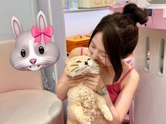 -青奢宠物·青奢猫舍