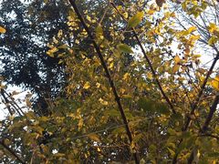 -生宇山珍野生菌汤锅•始于2002(双流古塔店)