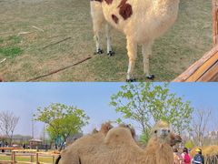 -祥源·阜阳生态乐园