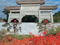 -广州市帽峰山景区