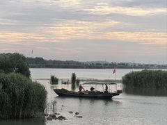 -贡湖湾湿地公园