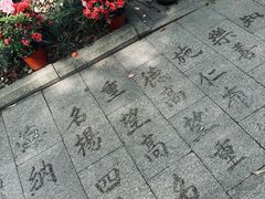 -上海醉白池公园