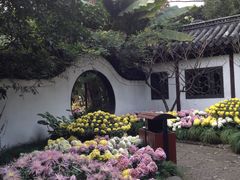 -汇龙潭