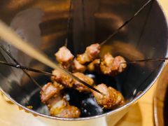 -蒙料·手把肉(望京店)
