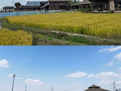 -乌村