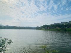 -枫香湖儿童公园