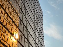 -香港皇家太平洋酒店