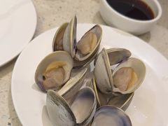 -青蓬蒸汽海鲜·深圳老字号·团建聚会(壹方城店)