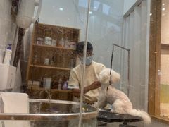 -佐罗家宠物馆·猫文化馆(紫霞路店)