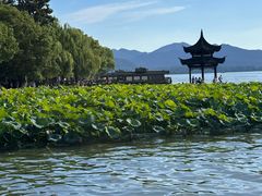 -西湖外事游船(湖滨二公园外事游船码头)