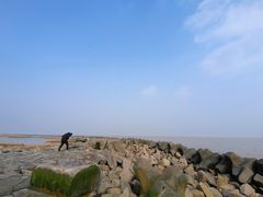 -南汇嘴观海公园