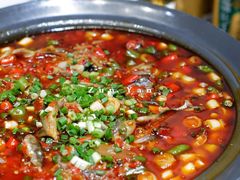 -樽宴酒楼·地道川菜·品质宴请