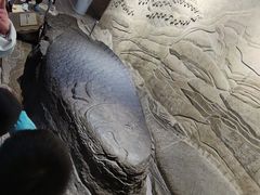 -白鹤梁水下博物馆