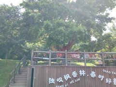-冶父山国家森林公园