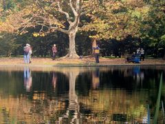 -上海共青森林公园