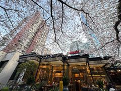 -玛格萝妮比萨屋(四平店)