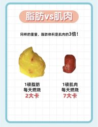 -Fundi张玉珊修身堂·indiba·BTL科技瘦身