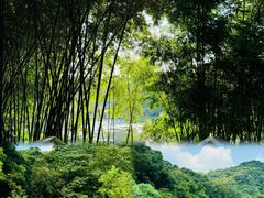 -云溪植物园