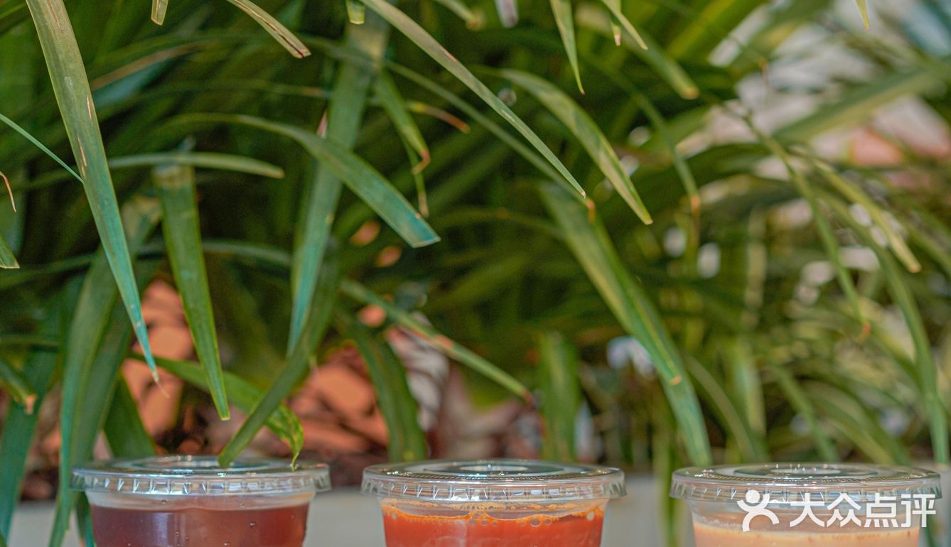 重庆｜Seesaw新品厚椰云南拿铁太好喝啦‼️