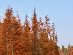 -白鹭湾湿地公园