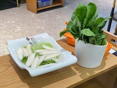 -汉方猪肚鸡火锅(金华之心店)