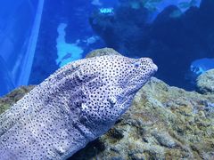 -成都浩海立方海洋公园