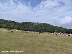 -羊山湖公园